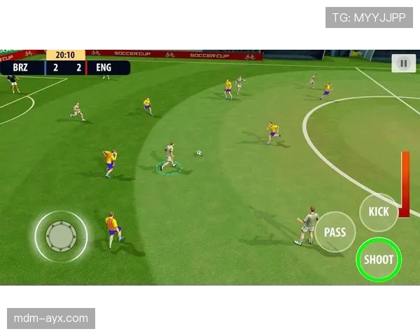 捷克1996年亚军再忆辉煌岁月，足球传奇之路引人关注