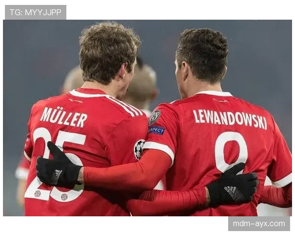 勒沃库森球迷热情助威，球队豪取连胜表现抢眼