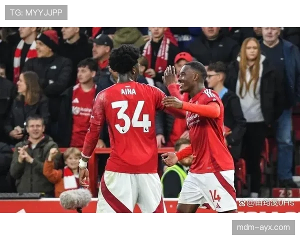 布伦特福德提速显成效，球迷热情点燃赛场