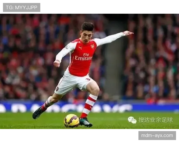 托纳利防守表现亮眼，状态持续攀升成球队战术核心