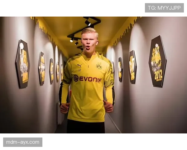 哈兰德持续爆发,加冕挪威国家队新射手王,未来表现备受期待 哈兰德持续爆发,加冕挪威国家队新射手王,未来表现备受期待