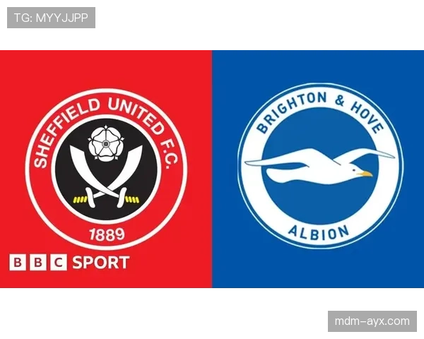 布莱顿球队结构 布莱顿球队结构