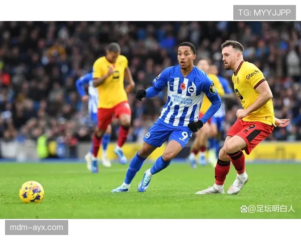 布莱顿球队最新动态与媒体报道